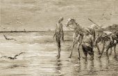 Don Quijote en la playa