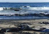 Playa contaminada por vertido de hidrocarburos