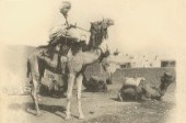 Argelia, principios s.XX