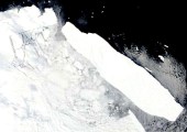 Iceberg B15A, 17 enero. Foto NASA